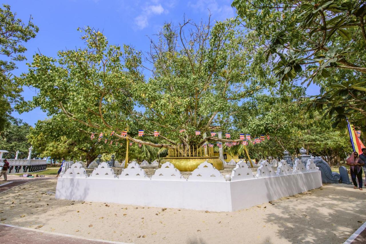 Thambu Illam Hotell Jaffna Exteriör bild